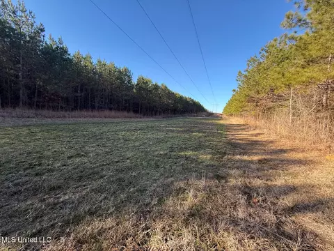 1145 Ludlow Rd, Lena, MS 39094 photo 53