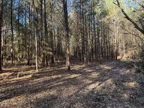 1145 Ludlow Rd, Lena, MS 39094 photo 49