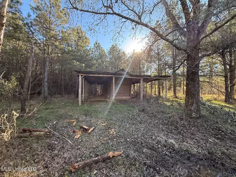 1145 Ludlow Rd, Lena, MS 39094 photo 30