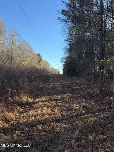 1145 Ludlow Rd, Lena, MS 39094 photo 9