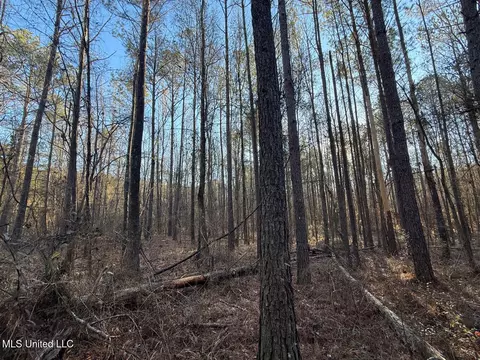 1145 Ludlow Rd, Lena, MS 39094 photo 7