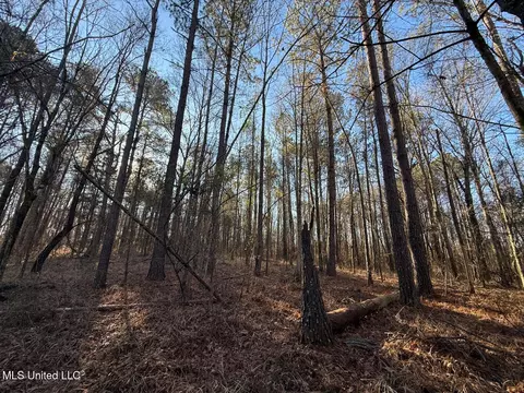 1145 Ludlow Rd, Lena, MS 39094 photo 22