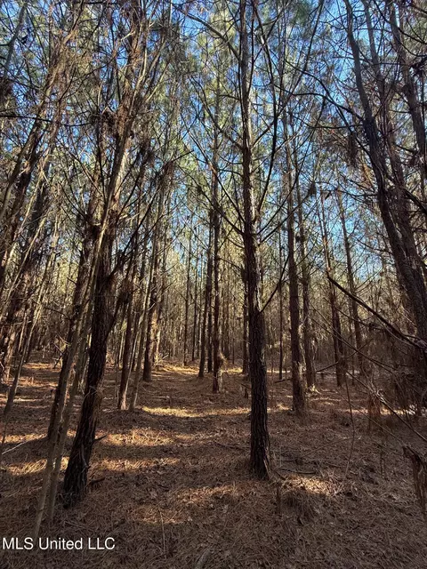 1145 Ludlow Rd, Lena, MS 39094 photo 60