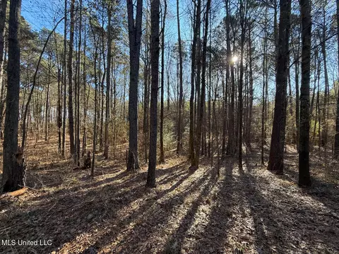 1145 Ludlow Rd, Lena, MS 39094 photo 47