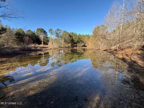 1145 Ludlow Rd, Lena, MS 39094 photo 29