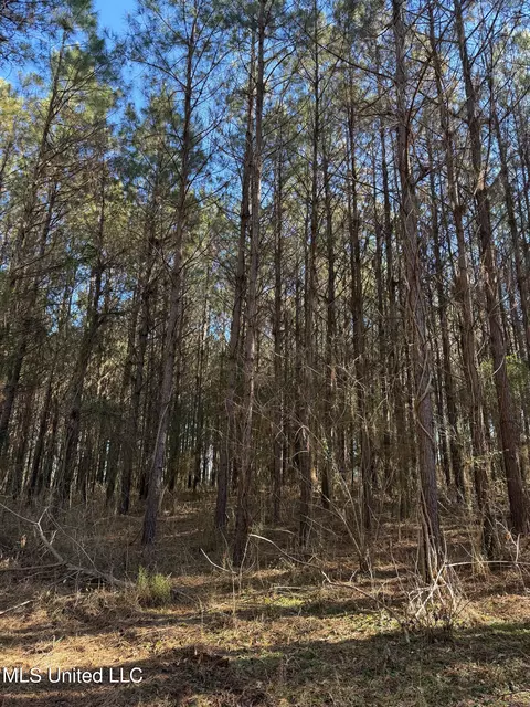 1145 Ludlow Rd, Lena, MS 39094 photo 48