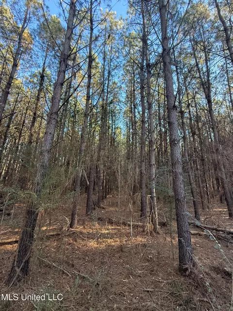 1145 Ludlow Rd, Lena, MS 39094 photo 16