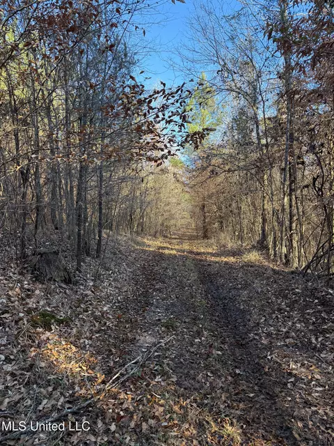 1145 Ludlow Rd, Lena, MS 39094 photo 59