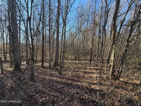 1145 Ludlow Rd, Lena, MS 39094 photo 21