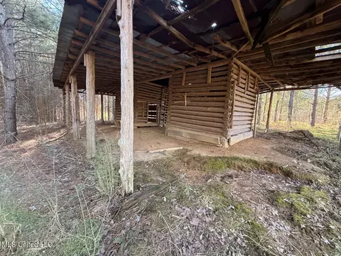 1145 Ludlow Rd, Lena, MS 39094 photo 31