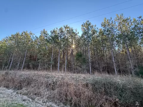 1145 Ludlow Rd, Lena, MS 39094 photo 72