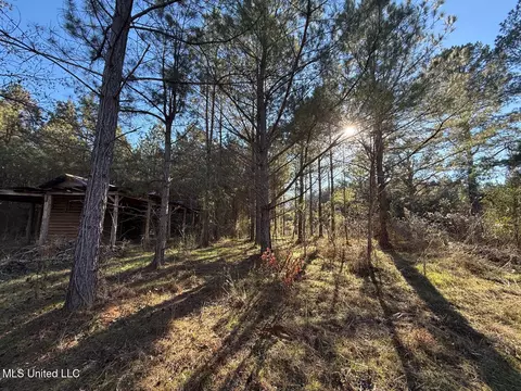 1145 Ludlow Rd, Lena, MS 39094 photo 28
