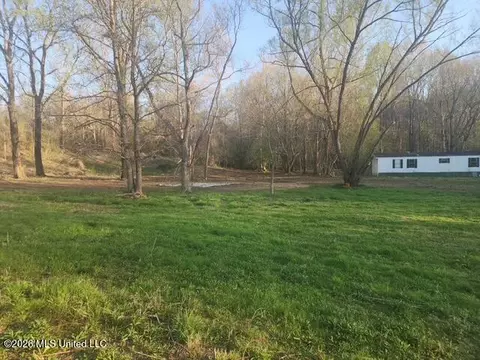 2085 Prichard Rd, Coldwater, MS 38618