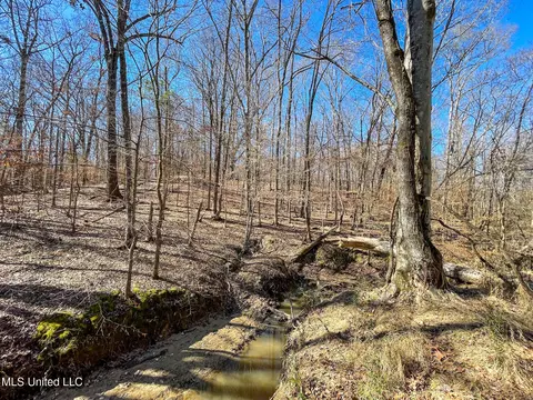 001 Robinson Springs Rd, Flora, MS 39071