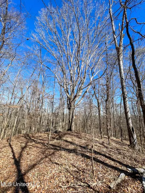 001 Robinson Springs Rd, Flora, MS 39071 photo 1