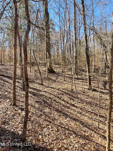 001 Robinson Springs Rd, Flora, MS 39071 photo 8