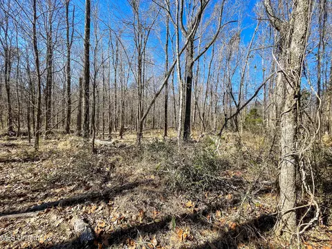001 Robinson Springs Rd, Flora, MS 39071 photo 4