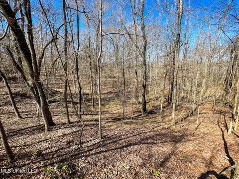 001 Robinson Springs Rd, Flora, MS 39071 photo 7