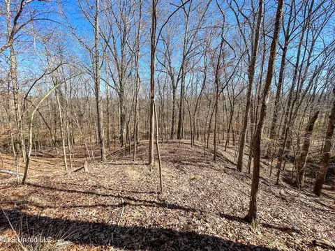 001 Robinson Springs Rd, Flora, MS 39071 photo 10