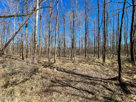 001 Robinson Springs Rd, Flora, MS 39071 photo 5