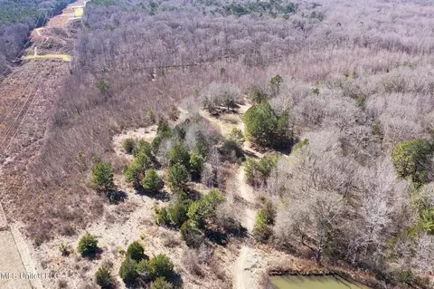 001 Robinson Springs Rd, Flora, MS 39071 photo 19