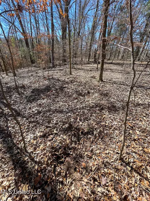 001 Robinson Springs Rd, Flora, MS 39071 photo 12