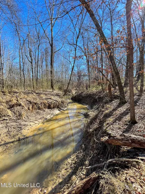 001 Robinson Springs Rd, Flora, MS 39071 photo 17