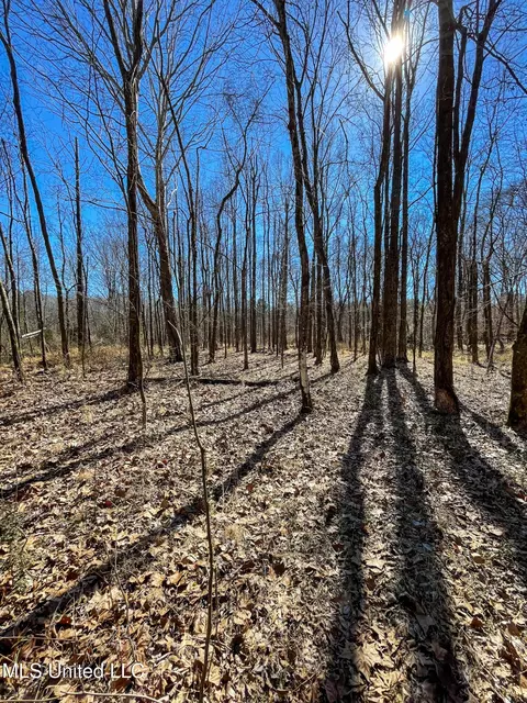 001 Robinson Springs Rd, Flora, MS 39071 photo 3