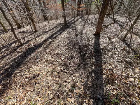 001 Robinson Springs Rd, Flora, MS 39071 photo 13