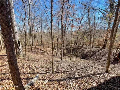 001 Robinson Springs Rd, Flora, MS 39071 photo 9