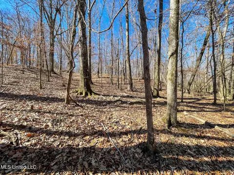 001 Robinson Springs Rd, Flora, MS 39071 photo 6