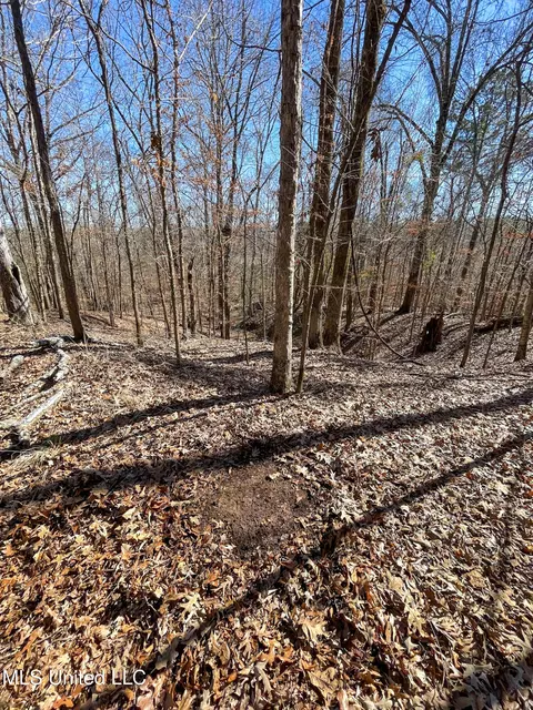 001 Robinson Springs Rd, Flora, MS 39071 photo 11