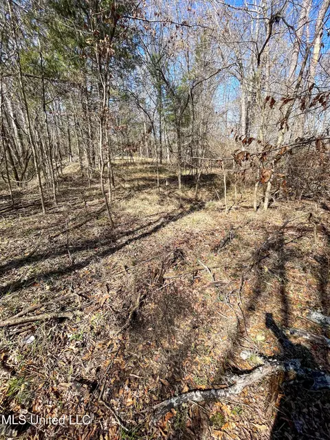001 Robinson Springs Rd, Flora, MS 39071 photo 14