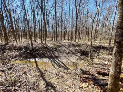 001 Robinson Springs Rd, Flora, MS 39071 photo 2