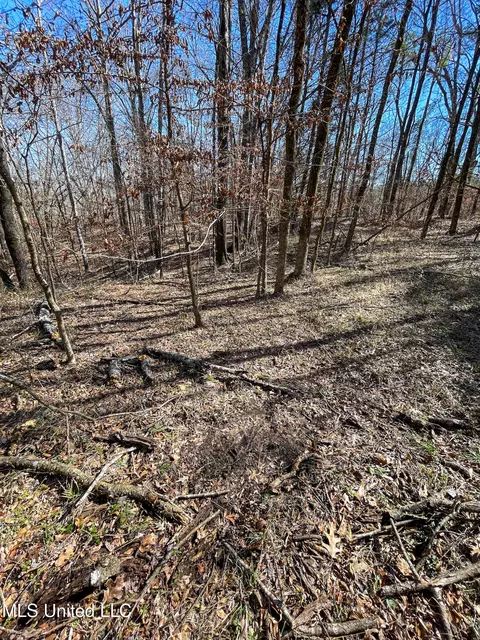 001 Robinson Springs Rd, Flora, MS 39071 photo 15