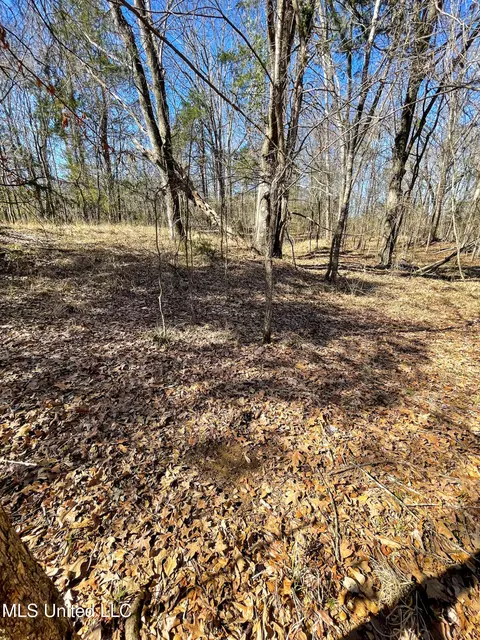 001 Robinson Springs Rd, Flora, MS 39071 photo 16
