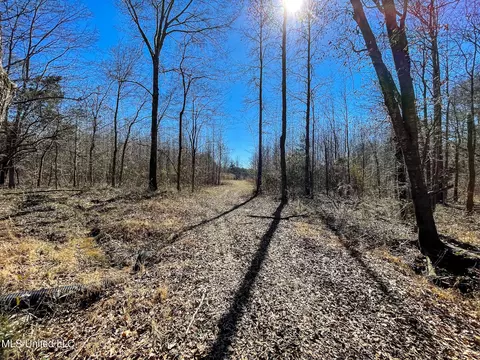 002 Robinson Springs Rd, Flora, MS 39071