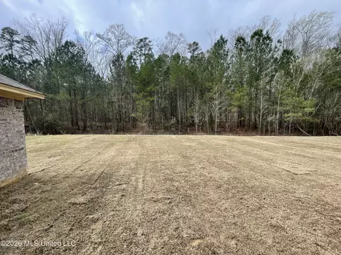 538 Stone Brook Pl, Brandon, MS 39042 photo 7