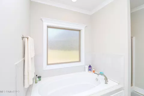 Bath - 405 Elen Ct, Brandon, MS 39042 photo 3 of 10