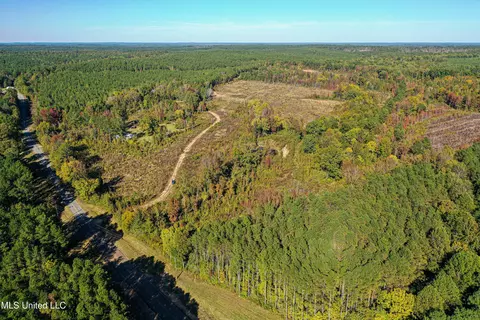 01 Mississippi 331, Paris, MS 38949 photo 39
