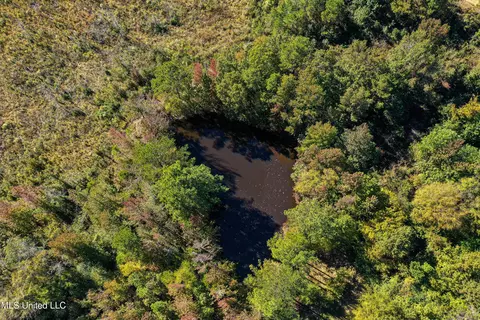 01 Mississippi 331, Paris, MS 38949 photo 22