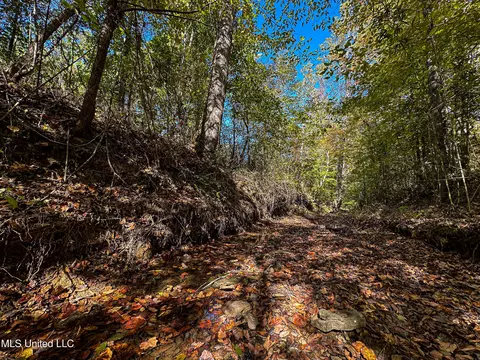 01 Mississippi 331, Paris, MS 38949 photo 67