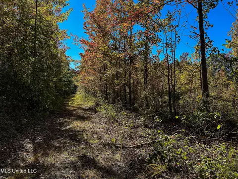 01 Mississippi 331, Paris, MS 38949 photo 68