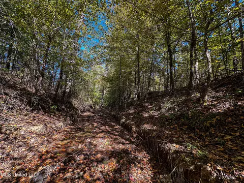 01 Mississippi 331, Paris, MS 38949 photo 66