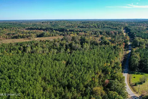 01 Mississippi 331, Paris, MS 38949 photo 41
