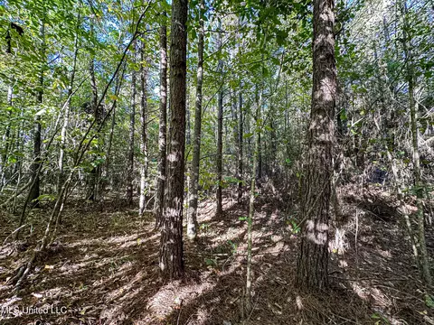 01 Mississippi 331, Paris, MS 38949 photo 81