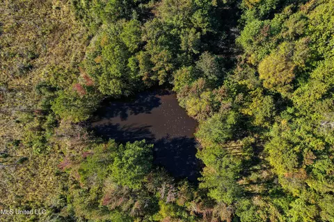 01 Mississippi 331, Paris, MS 38949 photo 24