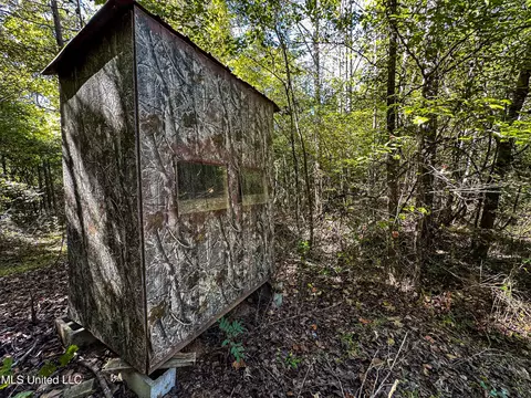 01 Mississippi 331, Paris, MS 38949 photo 49