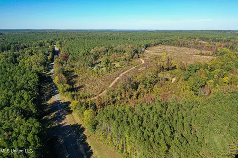 01 Mississippi 331, Paris, MS 38949 photo 40