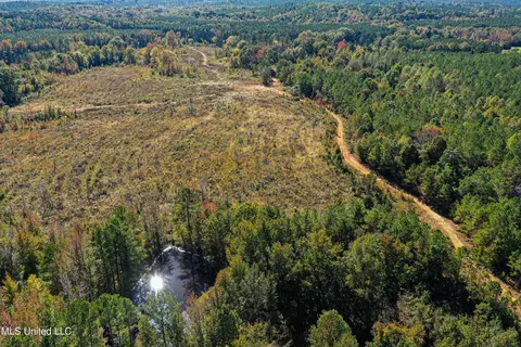 01 Mississippi 331, Paris, MS 38949 photo 25